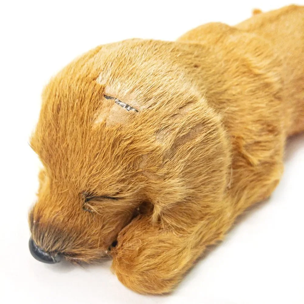 Vintage Golden Retriever Puppy Dog Figure - Real Fur